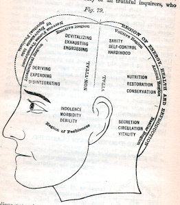 phrenology 2